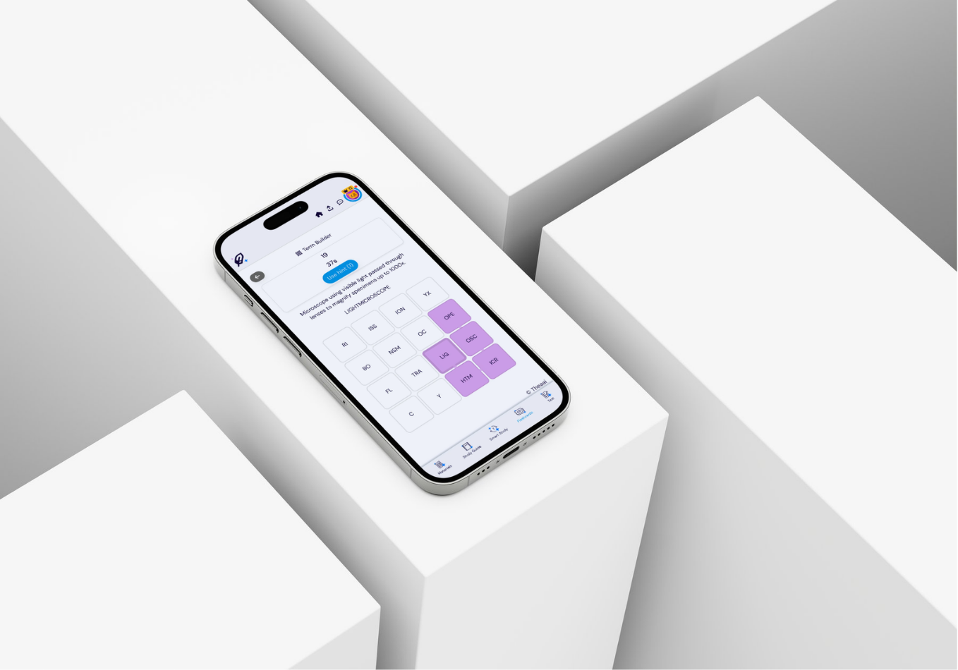 Term Builder — Thea's newest study game